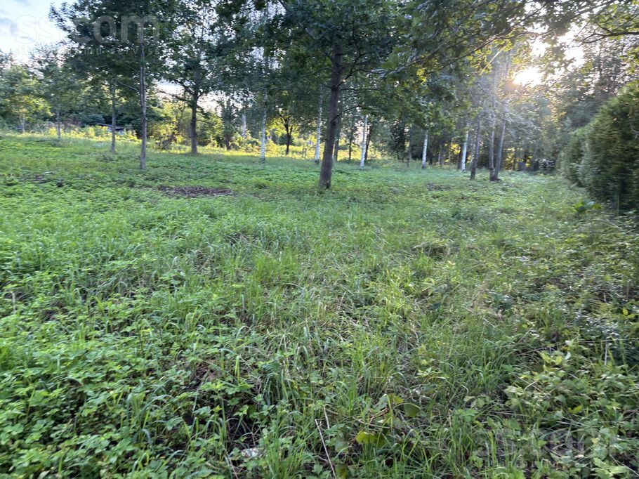 Dienvidu iela 12, Rīgas rajons, Salaspils — zeme