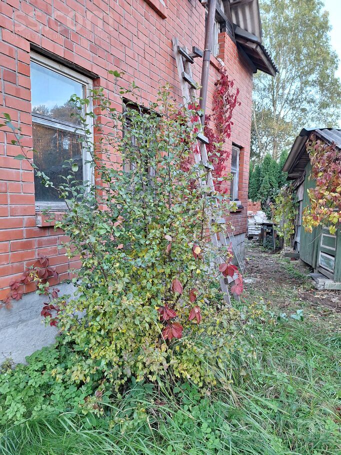 Radiotehnikas 47, Dzērumi, Rīgas rajons, Ķekavas pag. — maja