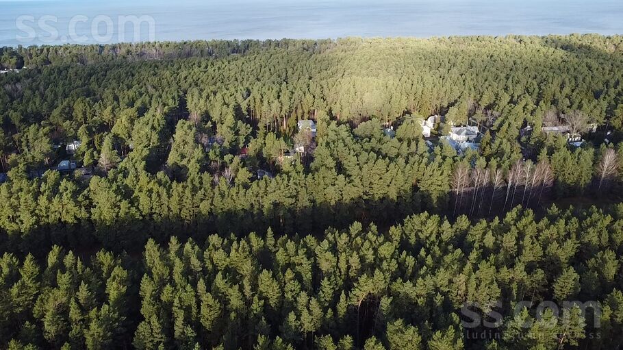 Brīvības prospekts 48, Jūrmala — zeme