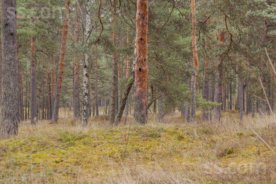 Vecāķu pr., Rīga — zeme