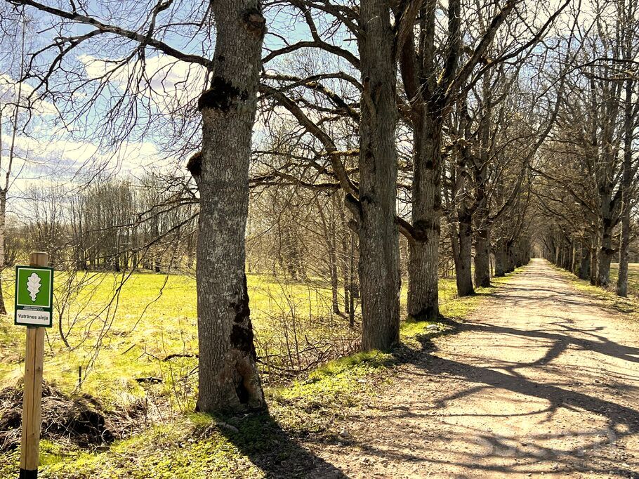 Pēternieki Sidrabsmi 3, Pēternieki, Rīgas rajons, Olaines pag. — zeme