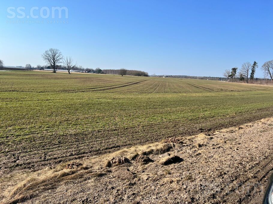 Pīkas; Audrupi, Iecava, Bauska un raj., Iecavas nov. — zeme