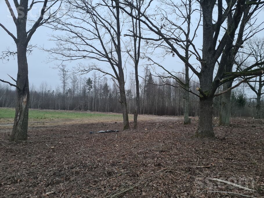 Birzkalni, Stelpe, Bauska un raj., Stelpes pag. — zeme