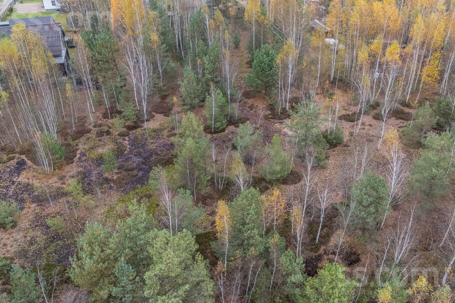 Rīta ceļš 4, Medemciems, Rīgas rajons, Olaines pag. — zeme