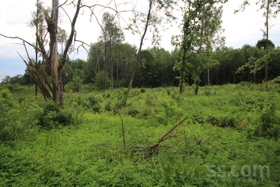 Rozes, Ustroņi, Rēzekne un raj., Sokolku pag. — zeme