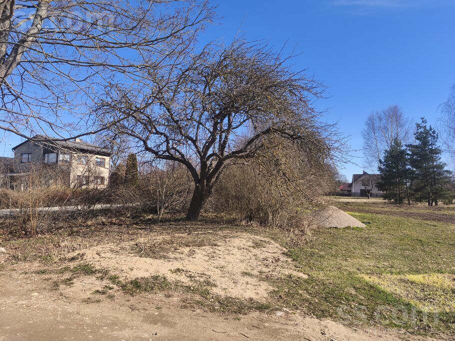 Bērzu iela 23, Engure, Tukums un raj., Engures pag. — zeme