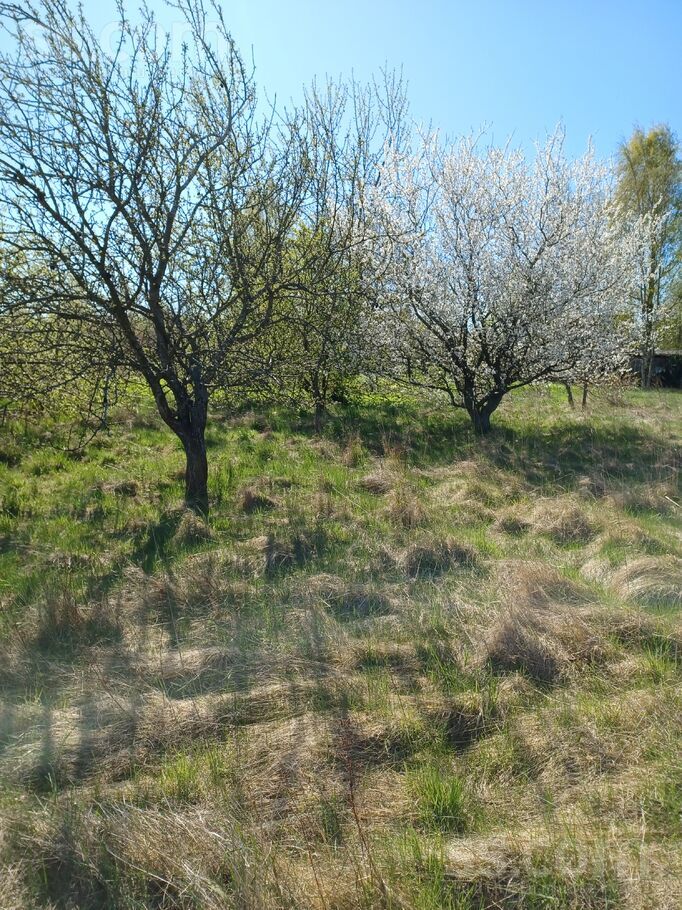 Birzītes, Vārve, Ventspils un raj., Vārves pag. — zeme