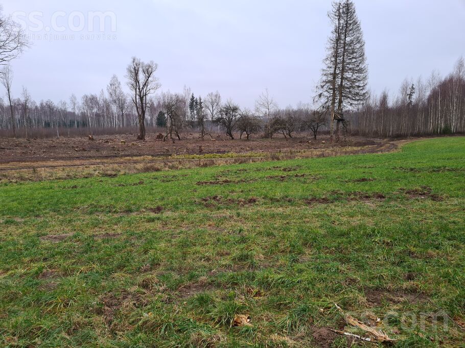 Birzkalni, Stelpe, Bauska un raj., Stelpes pag. — zeme