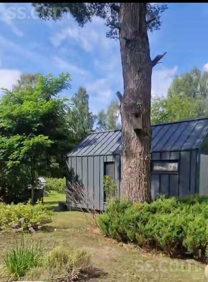 Plūmes/oāzes, Mazirbe, Talsi un raj., Kolkas pag. — maja