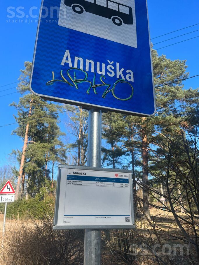 Annuška, Rīgas rajons, Salaspils — zeme