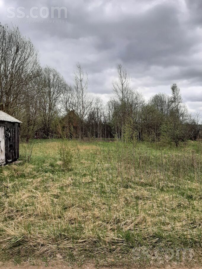 Daugava 272, Daugava, Daugavpils un raj., Kalkūnes pag. — zeme