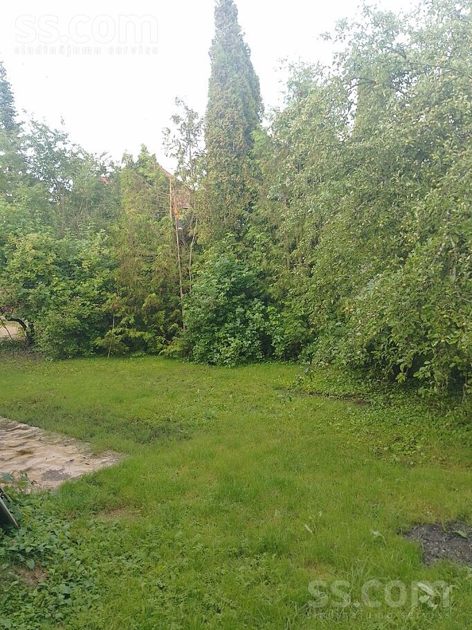 Darzinu2.skerslinija 7, Ogre un raj., Ogre — maja