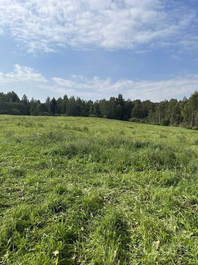 Čapkova 12, Čapkova, Rēzekne un raj., Griškānu pag. — zeme