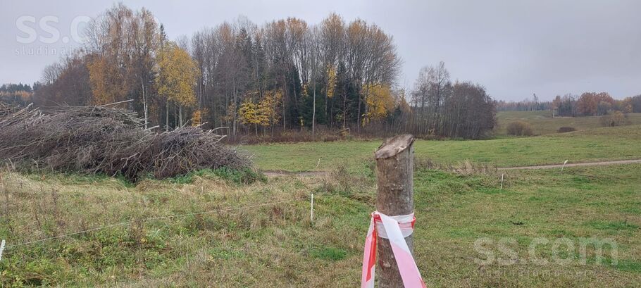 Lejaslāčplēši, Cēsis un raj., Jaunpiebalgas pag. — zeme