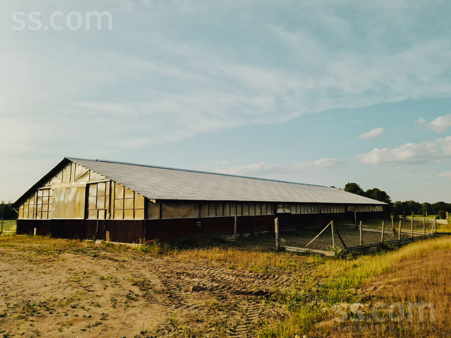 Saules, Vurpuļi, Ludza un raj., Nirzas pag. — zeme