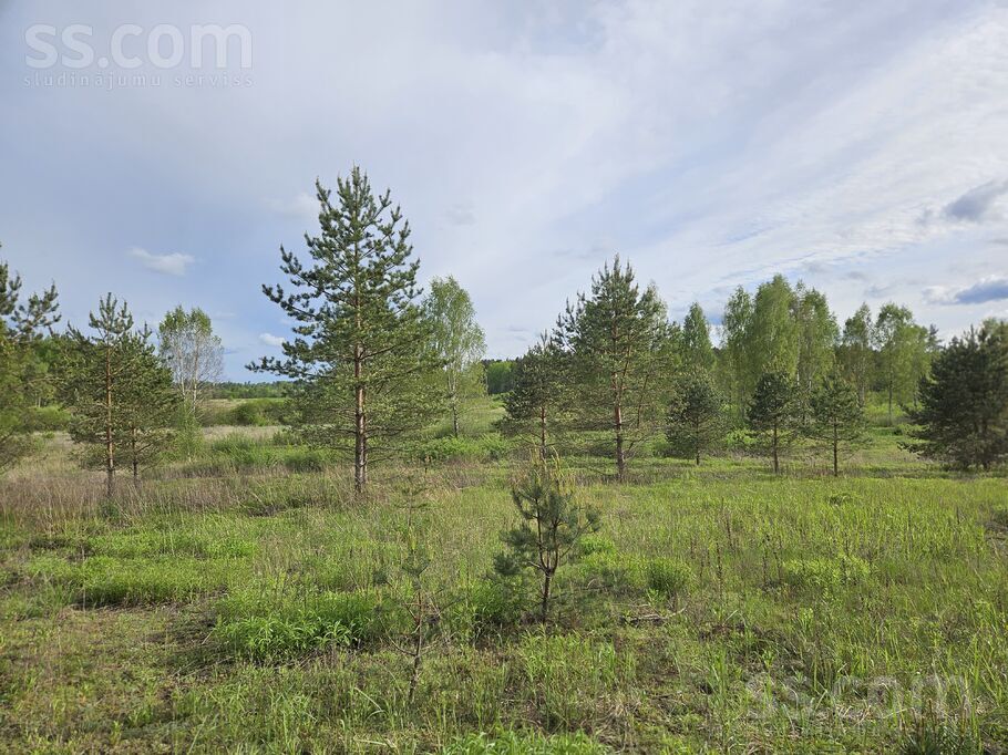 Pieneņu ceļš 19, Ogre un raj., Ogre — zeme