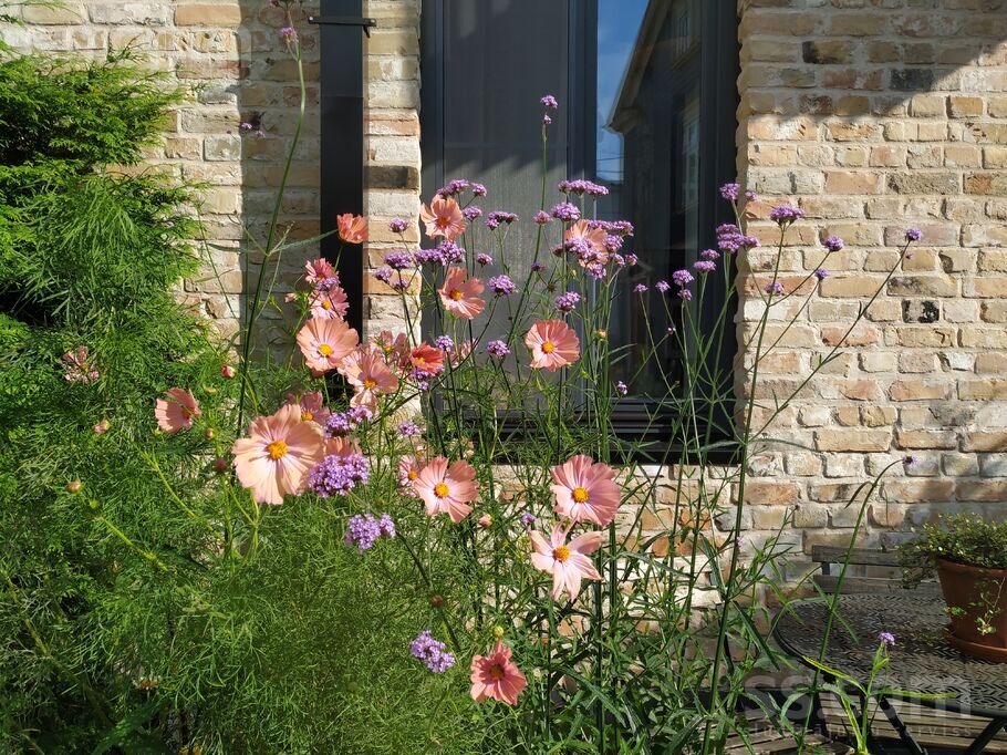 Mūrnieku 12a, Rīga — dzivoklis