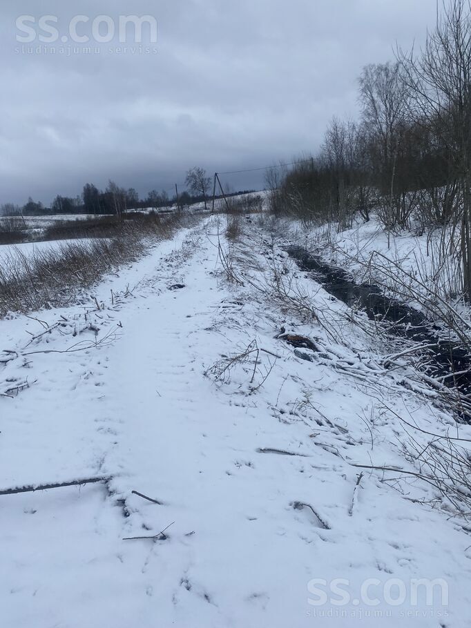 Biķernieki 1, Biķernieki, Daugavpils un raj., Biķernieku pag. — zeme