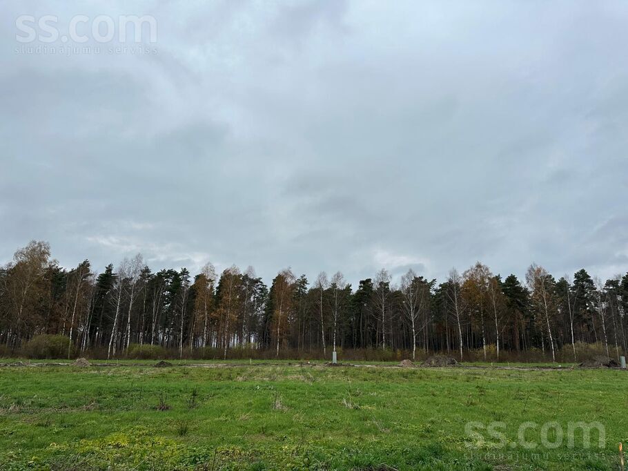 Vendijas, Grēnes, Rīgas rajons, Olaines pag. — zeme