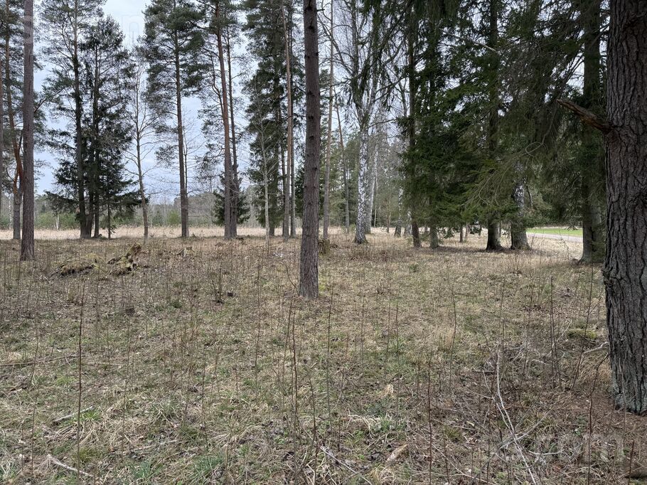 Austrumnieki, Engure, Tukums un raj., Engures pag. — zeme