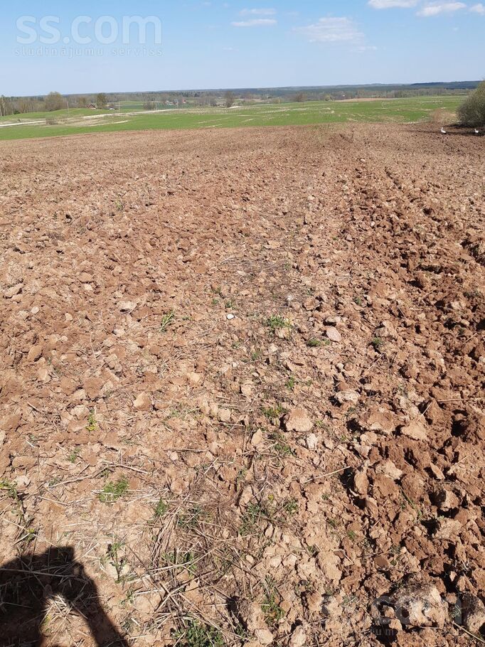 Ozoļi-1, Ozoļi-2, Červonka, Daugavpils un raj., Vecsalienas pag. — zeme