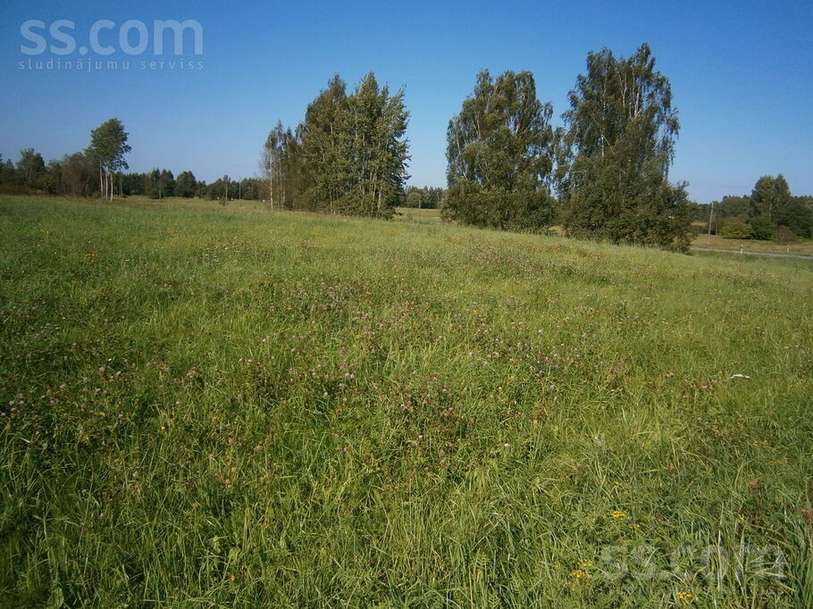 Zelmeņi, Daugmale, Rīgas rajons, Daugmales pag. — zeme