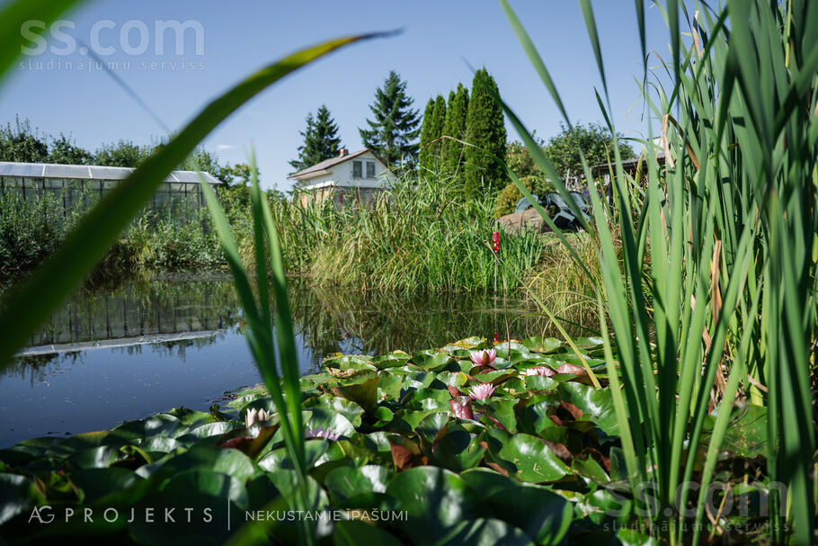 34 iela 24/26/2, Šķēde, Liepāja un raj., Medzes pag. — zeme