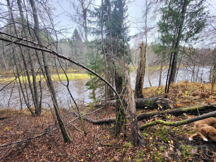 Nomalnieki, Vireši, Alūksne un raj., Virešu pag. — zeme