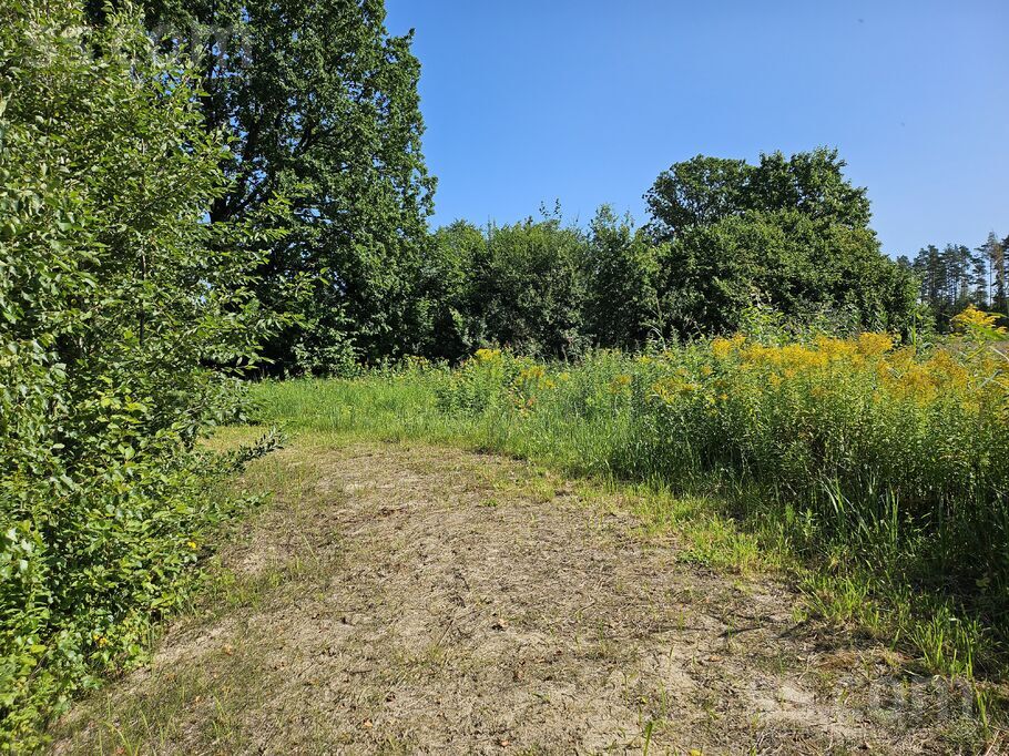 Jaunzelmeņi, Brankas, Jelgava un raj., Cenu pag. — zeme