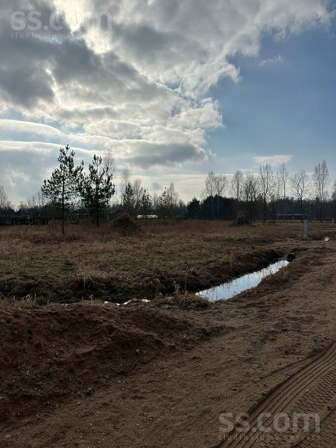 Jaunozolu 1, Ozolnieki, Jelgava un raj., Ozolnieku pag. — zeme