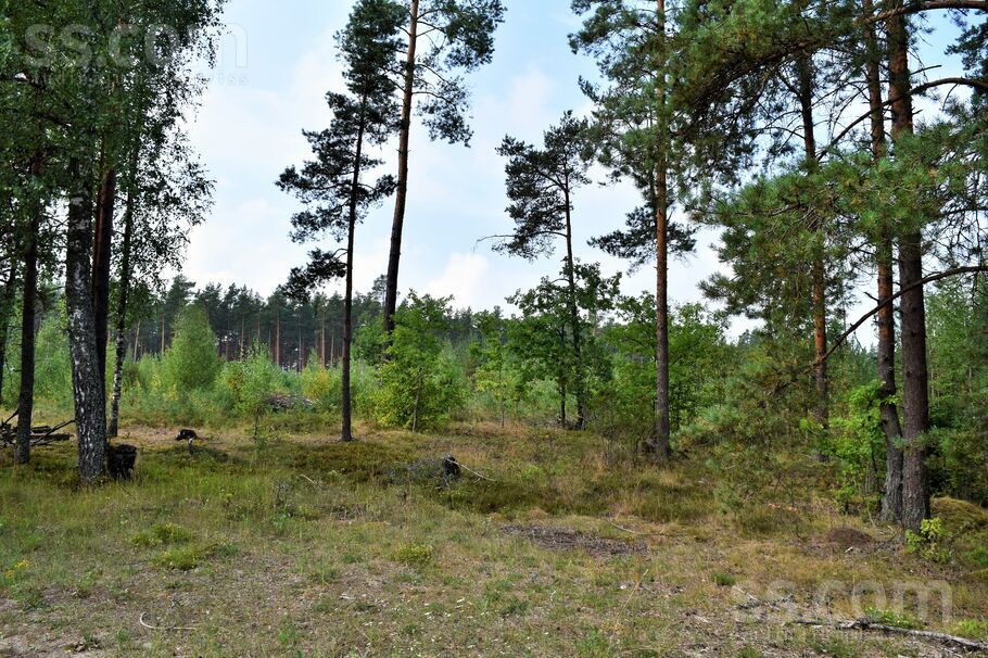 Kociņi, Kadaga, Rīgas rajons, Ādažu nov. — zeme