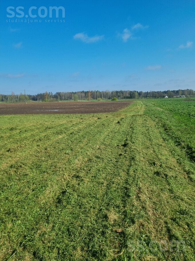 Nav nav, Līvbērze, Jelgava un raj., Līvbērzes pag. — zeme