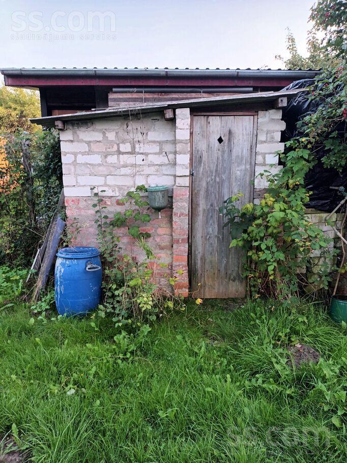 31 6, Šķēde, Liepāja un raj., Medzes pag. — maja