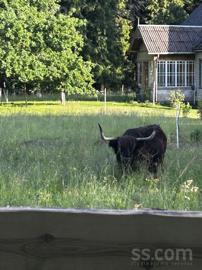 Buku 3, Ķesterciems, Tukums un raj., Engures pag. — maja