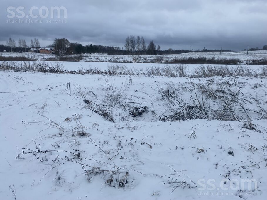 Biķernieki 1, Biķernieki, Daugavpils un raj., Biķernieku pag. — zeme