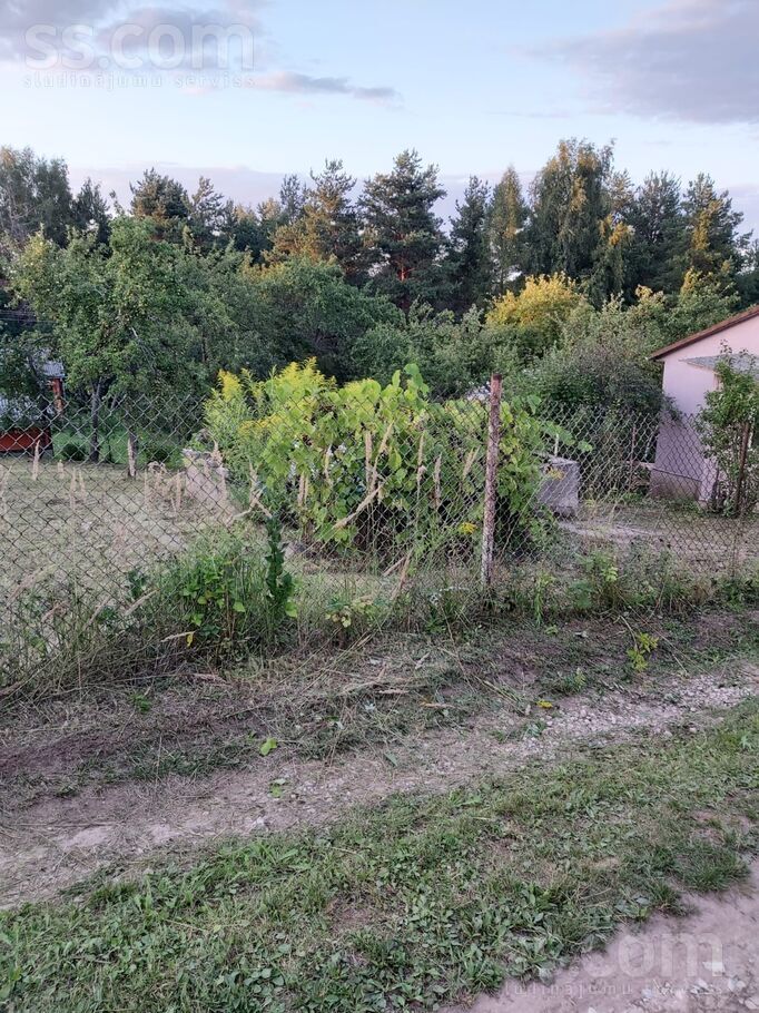 Dainas 8, Ludza un raj., Ludza — zeme