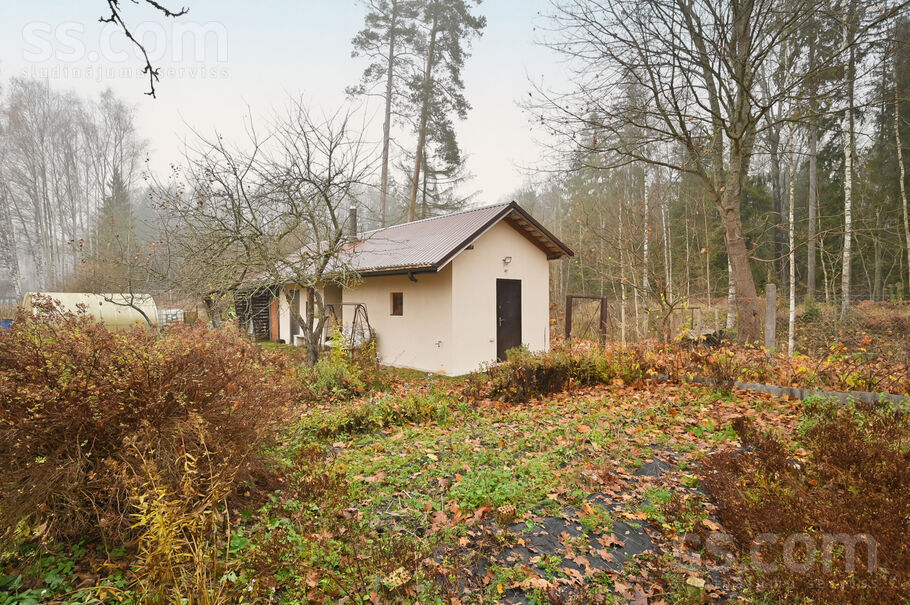 Sputņiks 64, Dāvi, Rīgas rajons, Olaines pag. — maja