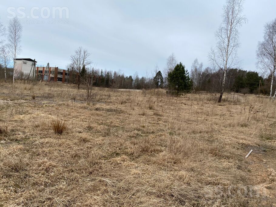 Liepu iela 7, Auciems, Cēsis un raj., Raiskuma pag. — zeme