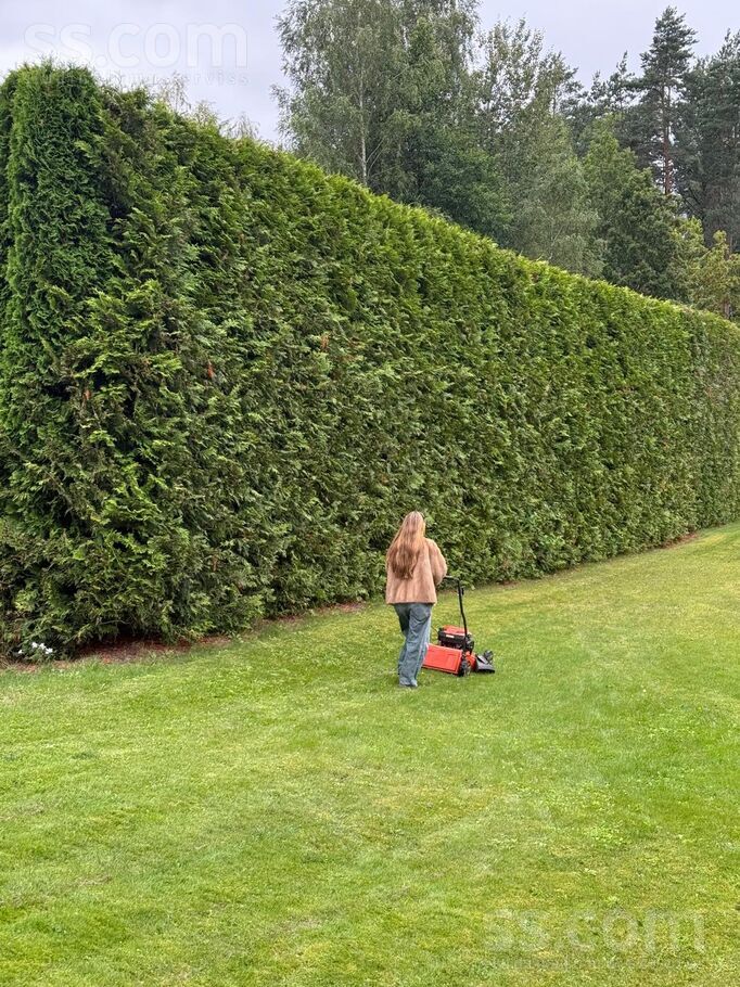 Priežu iela 16, Rīgas rajons, Baldone — maja