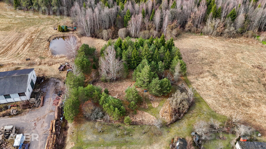 Ziedu iela 12, Silene, Daugavpils un raj., Skrudalienas pag. — maja