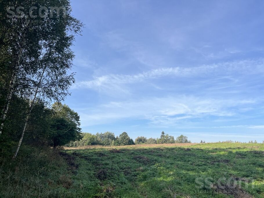 Lazdaiņi, Viļuši, Daugavpils un raj., Naujenes pag. — zeme