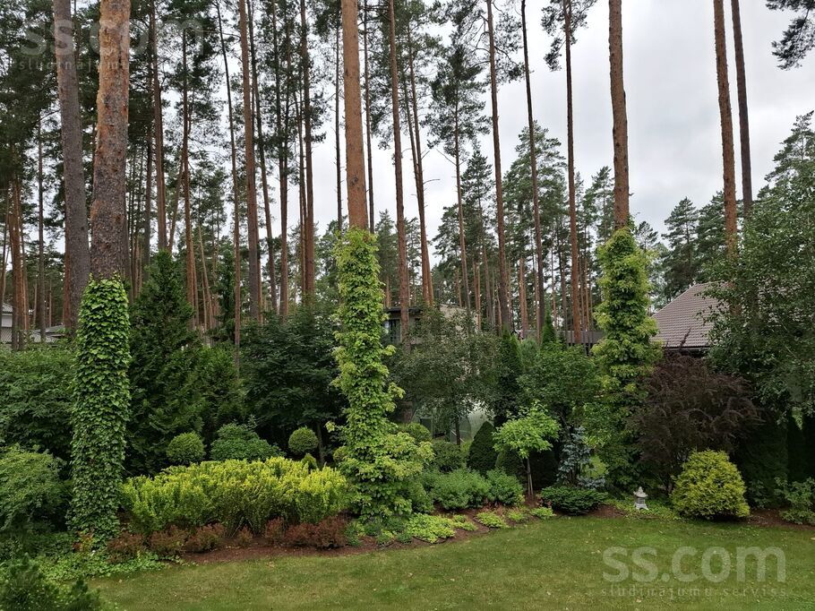 Māras 47, Baltezers, Rīgas rajons, Ādažu nov. — maja