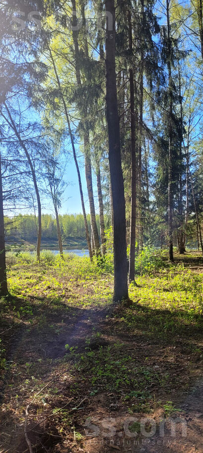 Samu līcis, Sandariški, Daugavpils un raj., Naujenes pag. — zeme