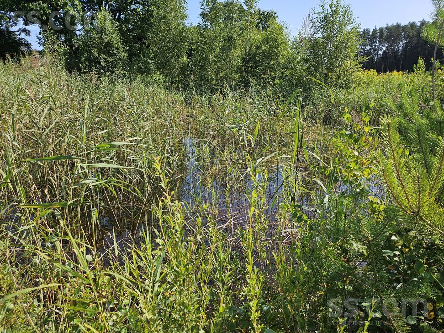Brankas, Jelgava un raj., Cenu pag. — vienseta