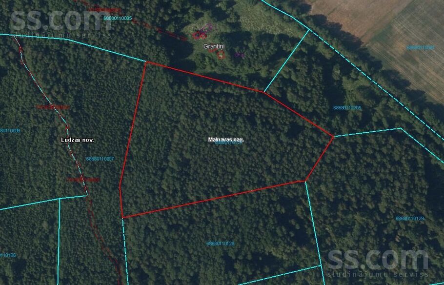 Lielā Zeļčeva, Ludza un raj., Malnavas pag. — mezs