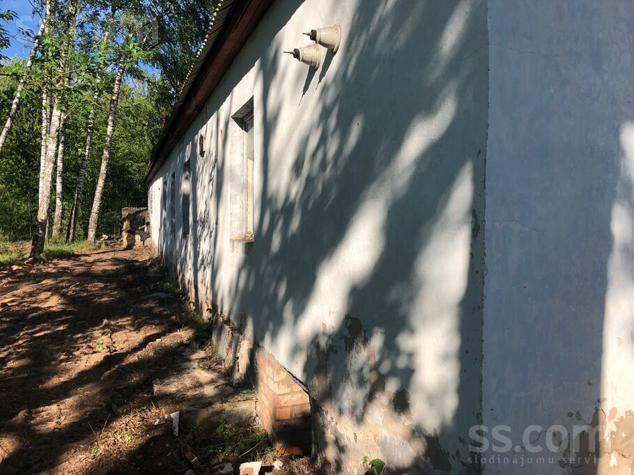 Dobele un raj., Dobele — vienseta