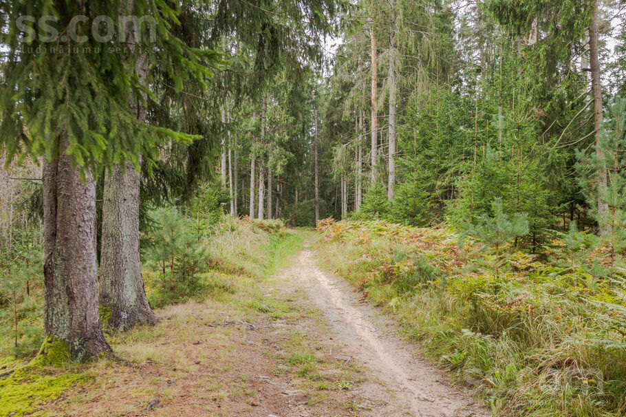 Vārpas iela 10, Ogre un raj., Ogre — zeme