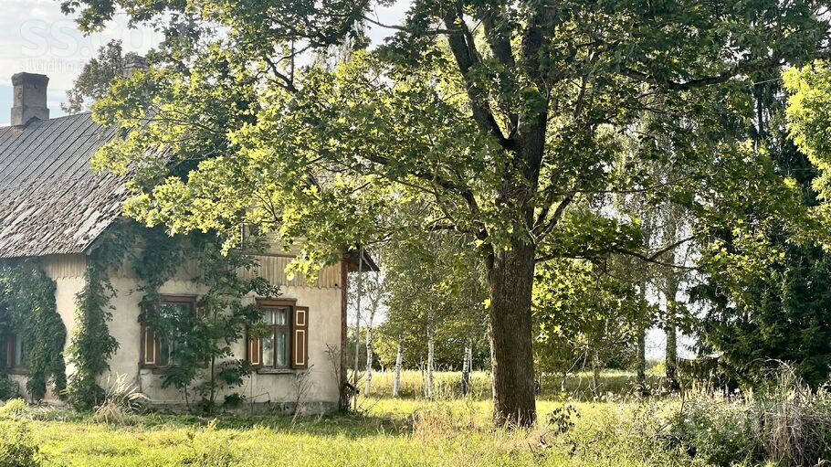 Baltegles, Trenči, Rīgas rajons, Babītes pag. — maja