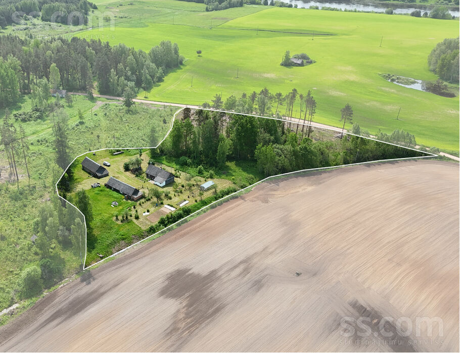 Bērziņi, Krivoseļci, Krāslava un raj., Piedrujas pag. — maja