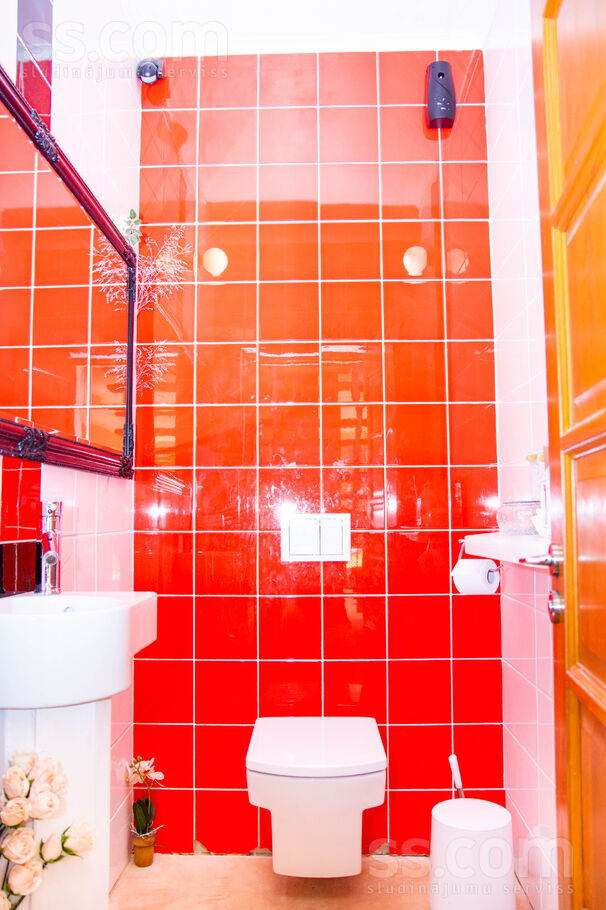 Amoliņu iela, Iecēni, Jelgava un raj., Cenu pag. — maja